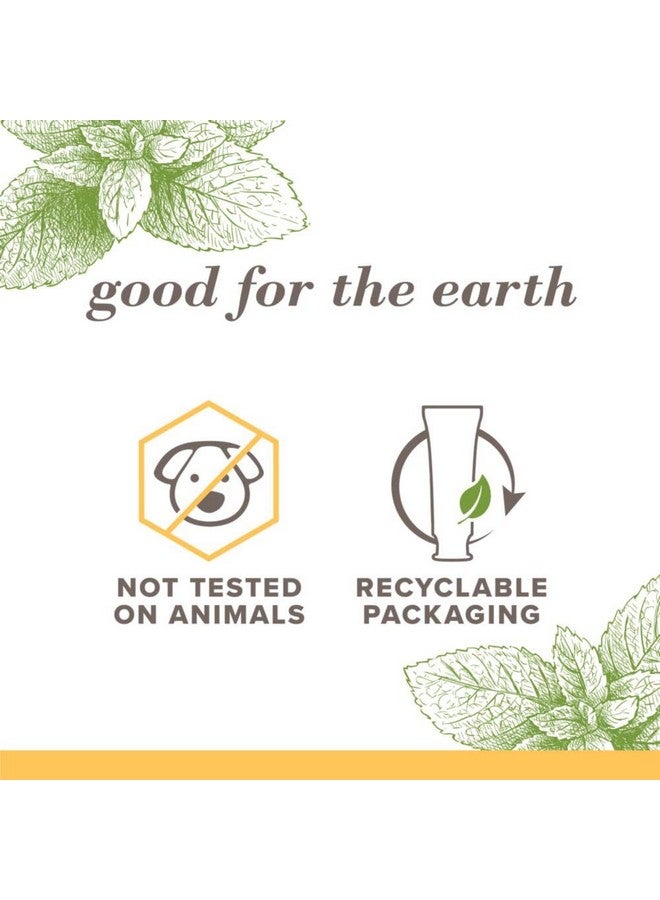 Burt's Bees Toothpaste, Natural Flavor, Fluoride-Free, Purely White, Zen Peppermint, 4.7 Oz, Pack Of 3 - Image 2