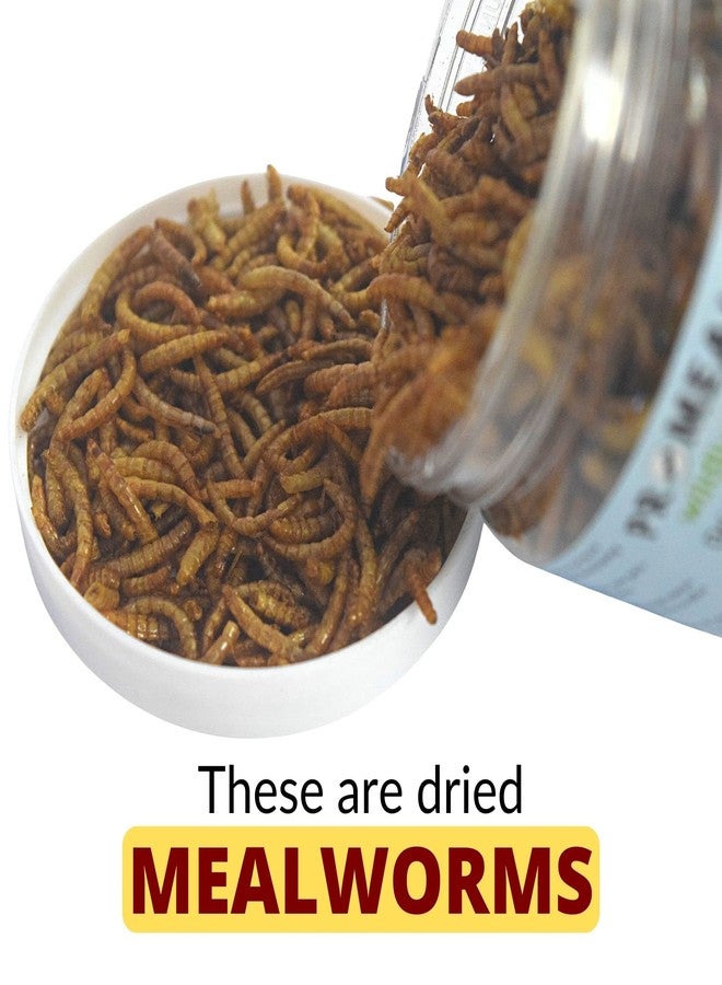 Promeal ديدان الوجبة المجففة من بروميل، مكافأة غنية بالبروتين لأسماك الزينة (الأروانا، زهرة القرن)، والطيور، والزواحف، والقرود، والحيوانات الأليفة الأخرى، أكثر من 800 دودة (35 جم). - Image 2