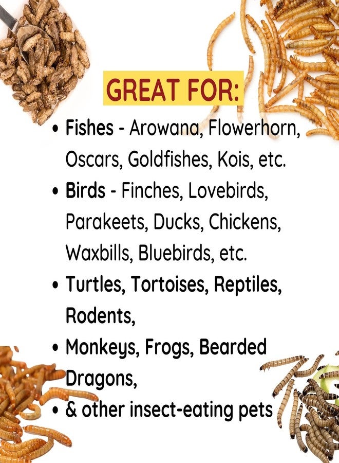 Promeal ديدان الوجبة المجففة من بروميل، مكافأة غنية بالبروتين لأسماك الزينة (الأروانا، زهرة القرن)، والطيور، والزواحف، والقرود، والحيوانات الأليفة الأخرى، أكثر من 800 دودة (35 جم). - Image 5