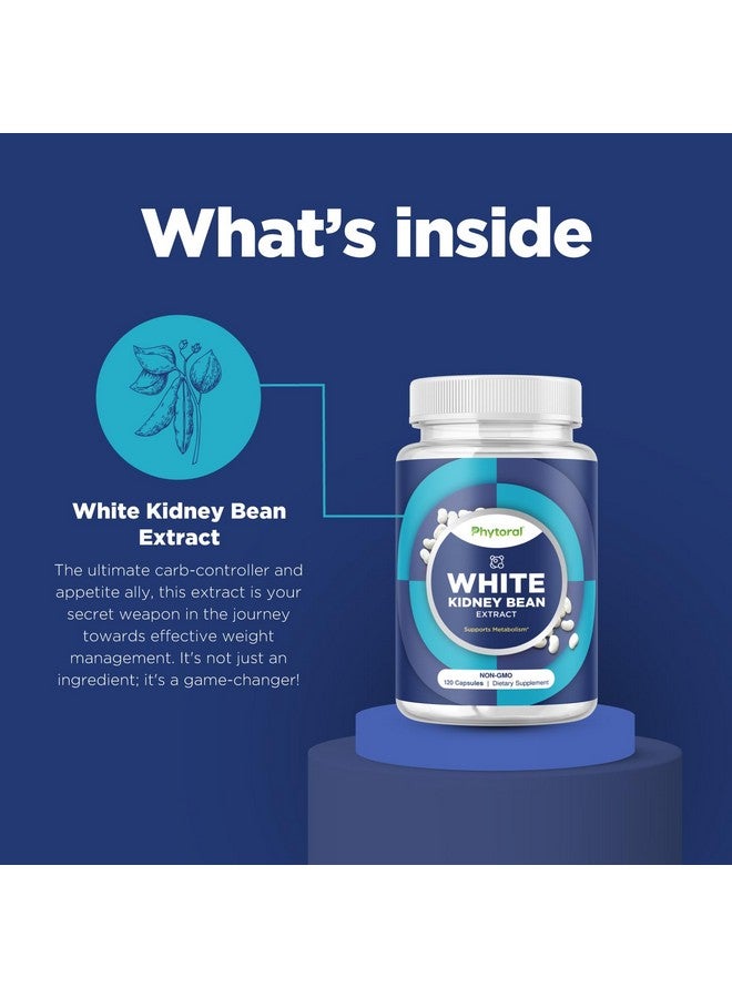 Phytoral White Kidney Bean Extract Capsules - Ultra High Potency Optimized Extract for Enhanced Energy Digestion and AMPK Activation - Vegan Non-GMO Gluten Free Fiber and Antioxidant Rich Starch Inhibitor - Image 4