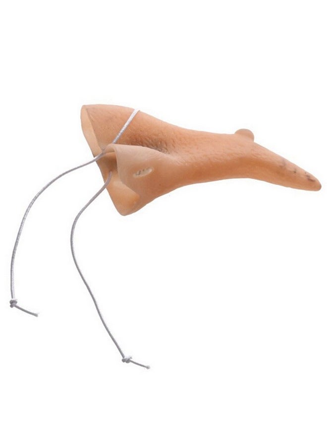 Amosfun - فستان تنكري لحفلات الهالوين على شكل أنف ساحرة، إكسسوارات، ديكور حفلات - Image 1