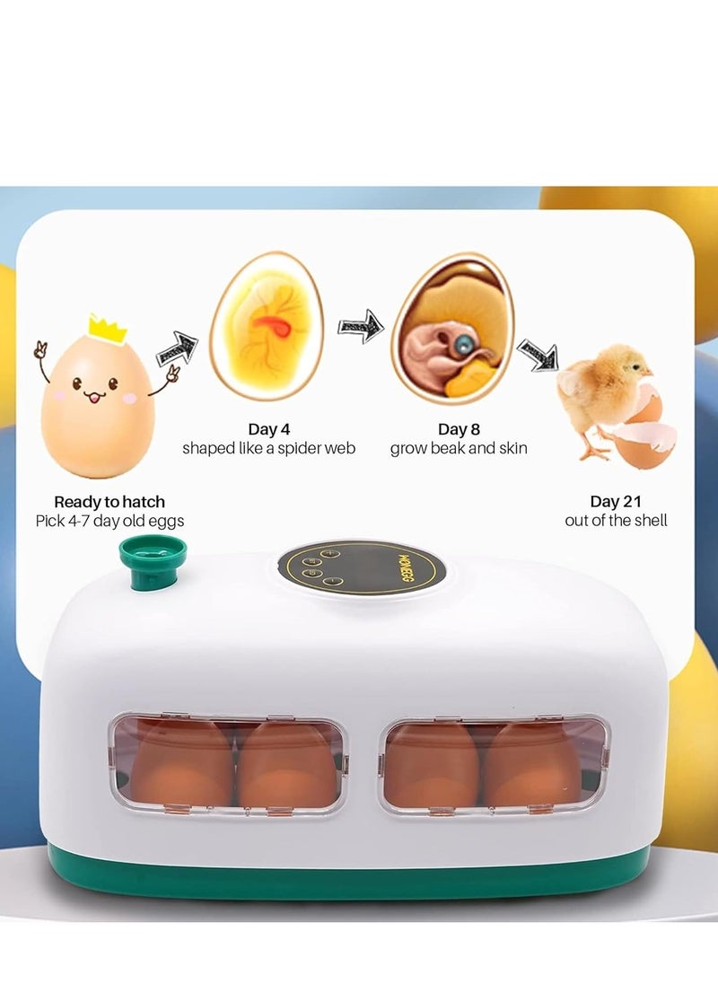 8 egg incubators for hatching eggs, temperature controlled digital egg incubator with LED lighting, poultry brooder for quail chicks (white)