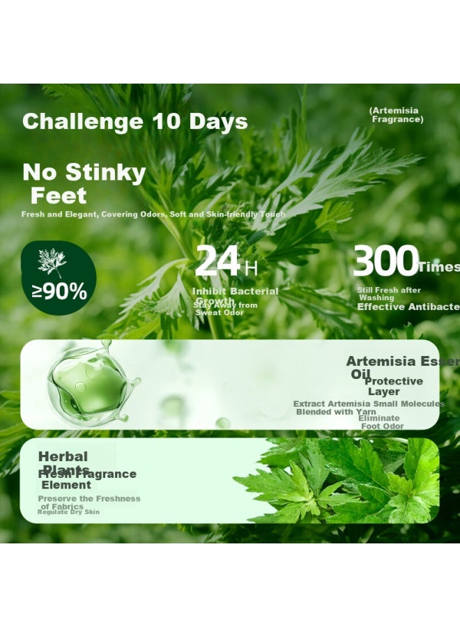 Madallo Modal [Mugwort Essential Oil] 100% Modal Cotton Odor-Resistant Socks For Women, Summer Cool-Feeling Mid-Calf Socks, Thin Athletic Women'S Socks - Image 4