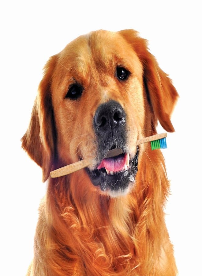 Woobamboo! Eco-Friendly Large Breed Dog Bamboo Toothbrush, Biodegradable, Plastic Negative (Pack of 2) - Image 5