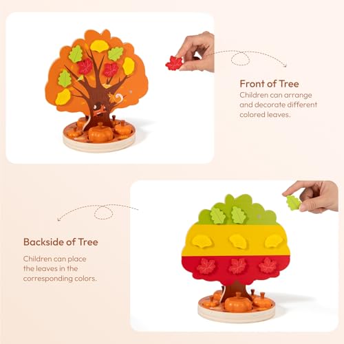 Woodtoe Montessori Toys for 3 4 5 6 Year Old Pumpkin Picking Magnetic Leaves Tree Toy Toddler Fine Motor Skill Toy Wooden Sensory Color Sorting Toys Autumn Pumpkin Toy Birthday Gifts for Kids 36 - Image 5