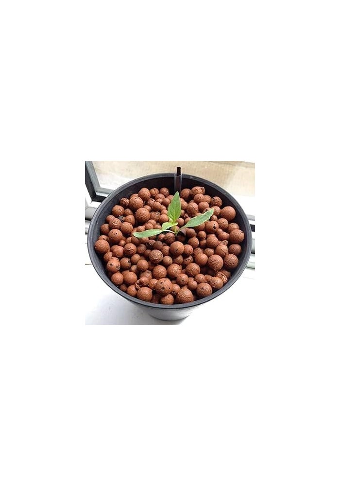Hydro 1Kg Hydrostones Clay Pebbles for Hydroponic Plant Growth and Soil Aeration - Image 2