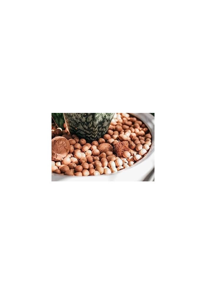 Hydro 1Kg Hydrostones Clay Pebbles for Hydroponic Plant Growth and Soil Aeration - Image 5