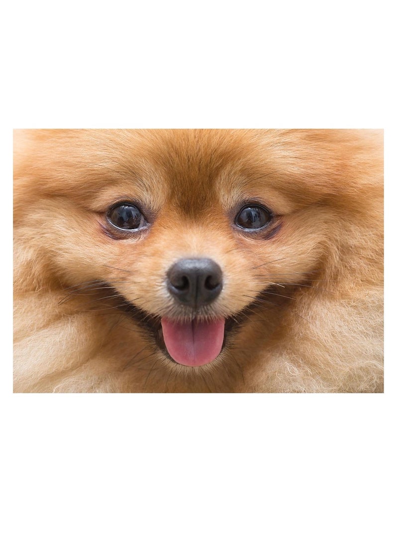 توماكس بازل لجرو صغير طويل الشعر 500 قطعة - A3-50-017 - Image 2