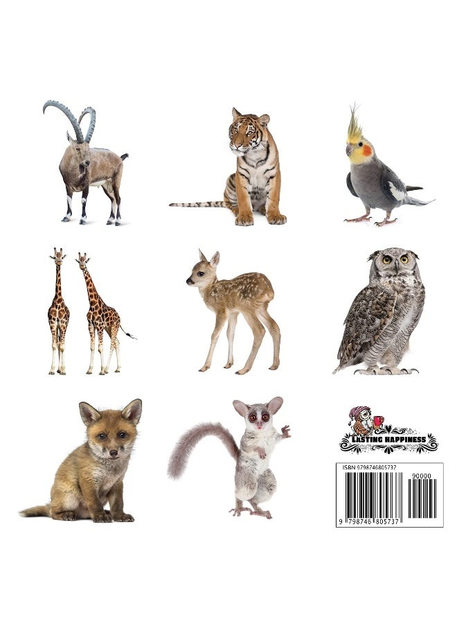 Animals on White Backgrou: A Calming Gift for Alzhei  - Image 2