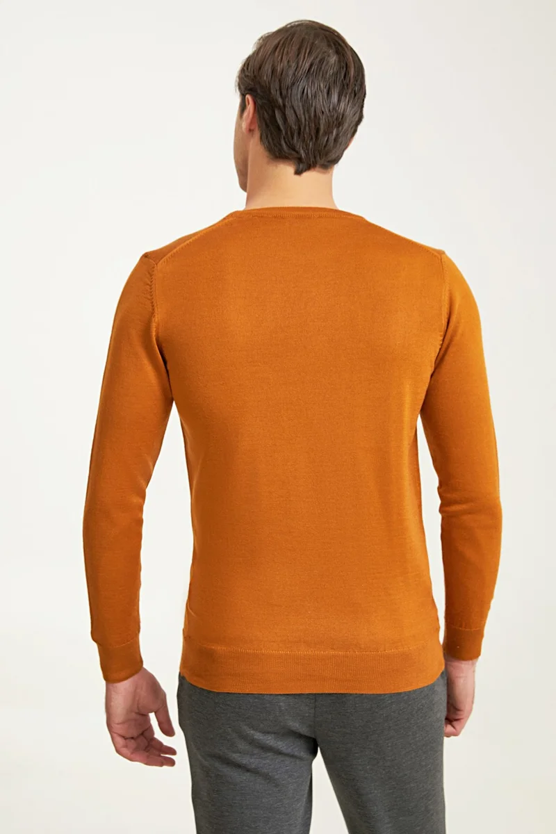 D'S DAMAT Regular Fit Hazelnut Brown Plain Knitted Sweater 9HF060632004D