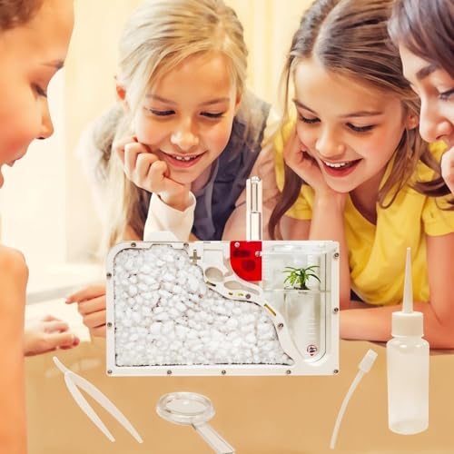 EXBEPE Sand Ant Farm Castle for Kids,Large Ant Habitat to Study Insect Behavior,Ant Colony Ecosystem Science Educational Gift for Classroom - Image 3