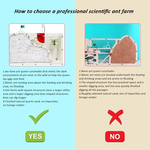 EXBEPE Sand Ant Farm Castle for Kids,Large Ant Habitat to Study Insect Behavior,Ant Colony Ecosystem Science Educational Gift for Classroom - Image 2