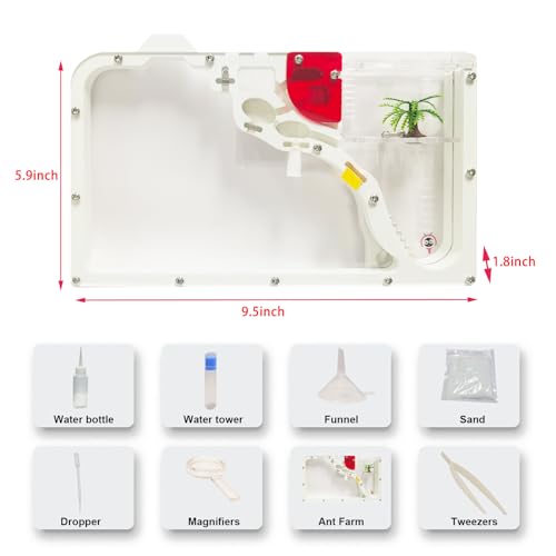 EXBEPE Sand Ant Farm Castle for Kids,Large Ant Habitat to Study Insect Behavior,Ant Colony Ecosystem Science Educational Gift for Classroom - Image 5
