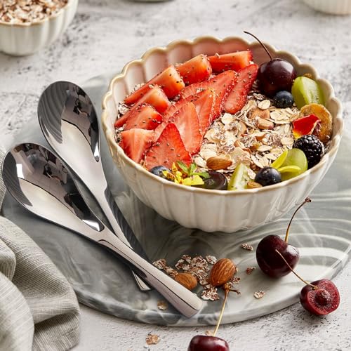 AOOSY 6-Piece Heavy Weight Soup Spoons,Stainless Steel Asian Soup Spoon with Ergonomic Short Handle for Ramen, Curry, Cereals - Image 4