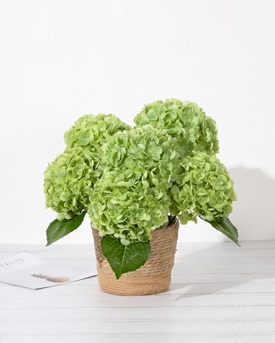 DuHouse 3Pcs Large Hydrangea Artificial Flowers20 inch Latex Real Touch Hydrangeas Lifelike Hydrangea Flower for Home Wedding Bouquets Centerpieces Party Living Room DecorationGreen - Image 3