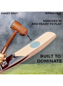 STRAUSS Strauss Cricket Bat | Edition: 5000 | Kashmir Willow | Size: SH | Tennis & Synthetic Ball Cricket Bat | Tennis Cricket Bat  - Image 5