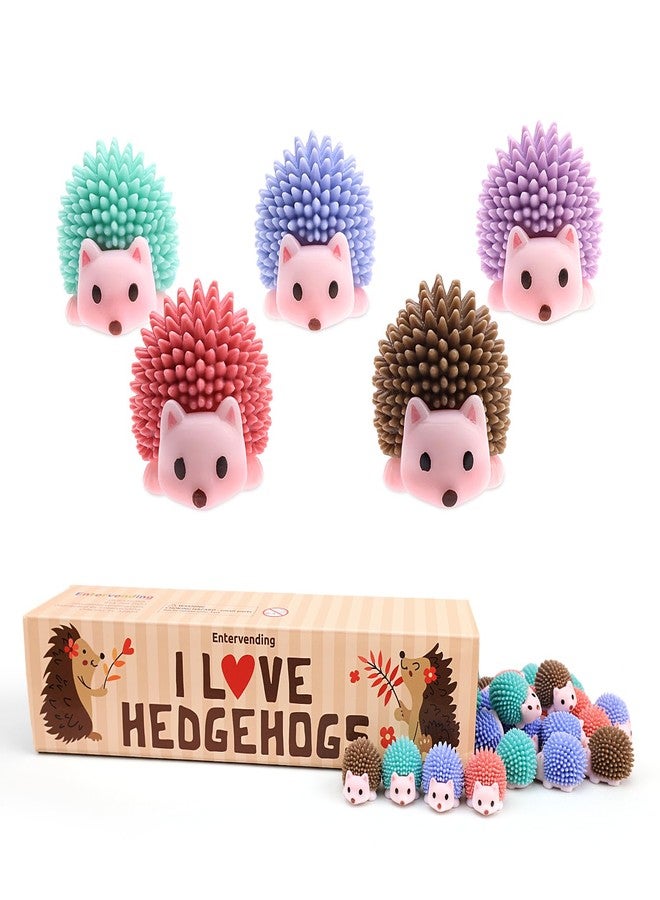 Entervending Hedgehog Toy Figurines - Wild Life Animal Figures in Gift Box - 30 Pcs - Figurines Party Favors for Kids - Cake Toppers - Woodland Decoration Playset - Cognitive Toys - Image 1