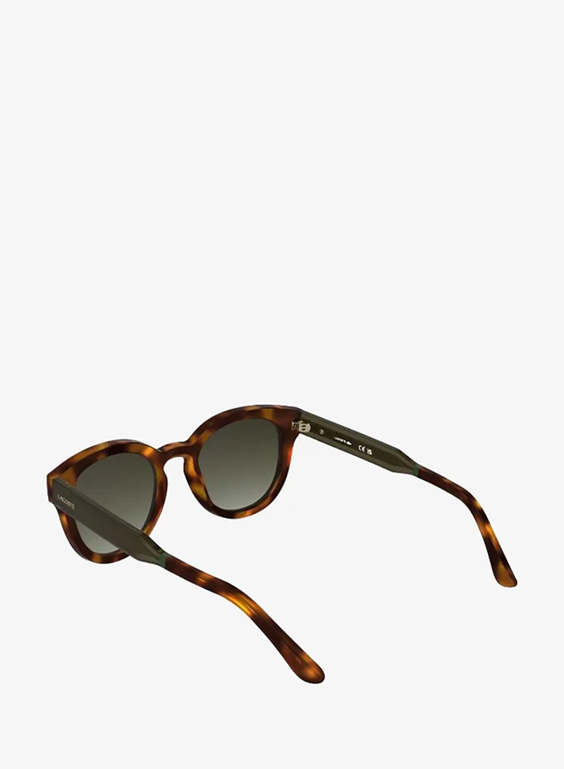 Lacoste  Rectangle Sunglasses for Women | Best Price UAE