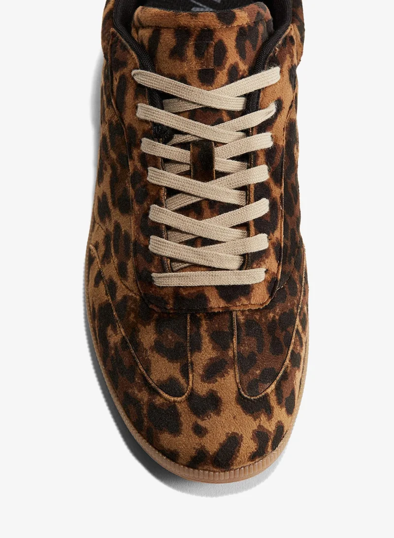 اتش اند ام ترينرز