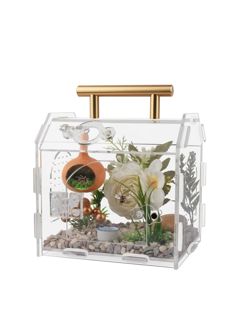 Generic Jumping Spider Enclosure  premium acrylic spider enclosure   ideal for keeping hairy spiders   reptiles and insects   no assembly required