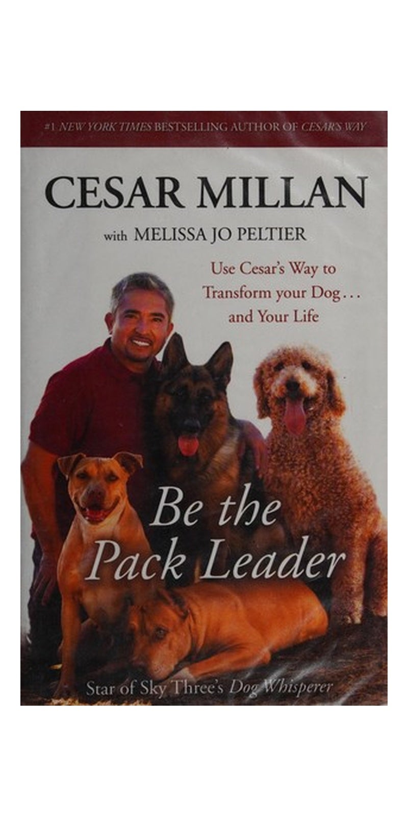 Be the pack leader: use Cesar's way to transform your dog - and your life