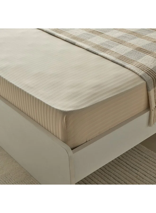 Home Box Hamilton Satin Stripe Olympic Queen Fitted Sheet 160 x 200 x 36 cm