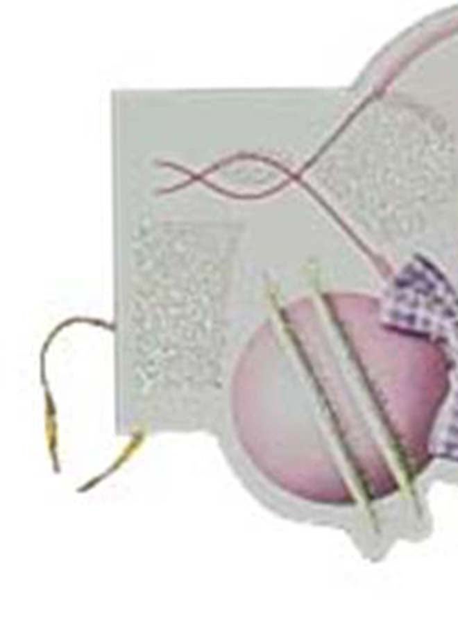 Toshionics Mini Compact Cute Cover Greeting Card - Image 5