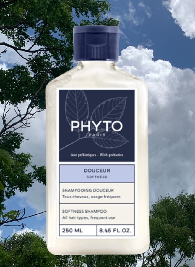 Phyto 2 Pieces Phyto Paris Softness All Hair Type Shampoo 250ML - Image 2
