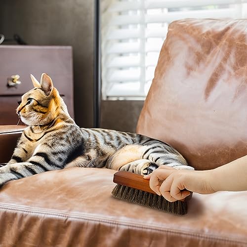 Zanzike Shoe Brush, Shoe Cleaning Brush, 2 Pieces Horsehair Shoe Brush, Boot Brush, Horse Hair Brush for Leather, Shoe Brushes for Cleaning, Leather Shoes Boot Cleaning Brush Care Clean Dauber Applicators - Image 5