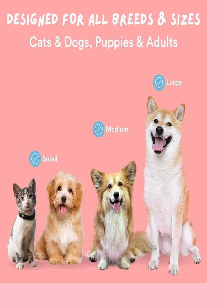 Coco Crush مجموعة كوكو كراش للعناية بصحة أسنان الحيوانات الأليفة - معجون أسنان سائل طبيعي 100%، وفرشاة أسنان، وبلسم للقدمين للقطط والكلاب (200 غرام معجون أسنان، وفرشاة، و25 غرام بلسم؛ 225 غرام) - Image 5