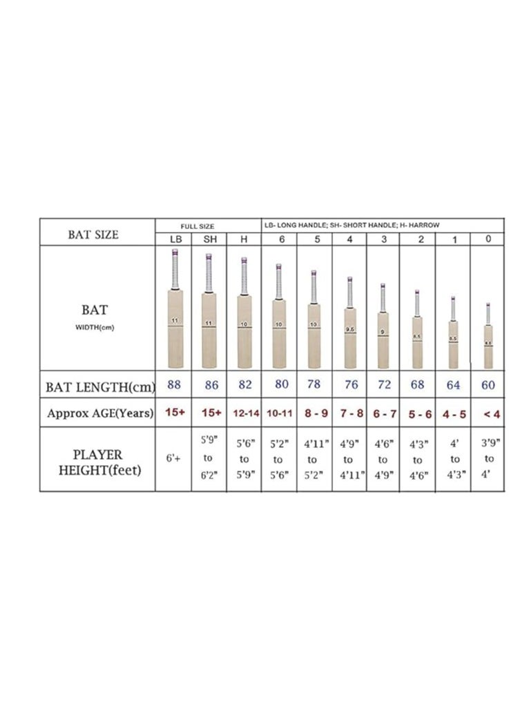 RSD Spark Kashmir Willow Cricket Bat, Size 3 |Material -Kashmir Wood) - pzsku/Z30BD8740D0872B7EF67CZ/45/_/1715167564/bbf46e4e-8ee7-4cec-840d-85d577546f4a