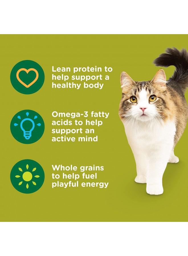 Rachael Ray Nutrish Premium Natural Dry Cat Food, Real Chicken & Brown Rice Recipe, 14 Pounds (Packaging May Vary) - Image 3