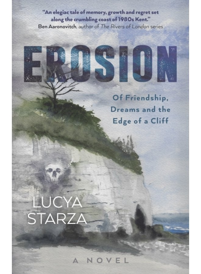 Erosion Of Friendship Dreams and the Edge of a Cliff A Novel - Paperback