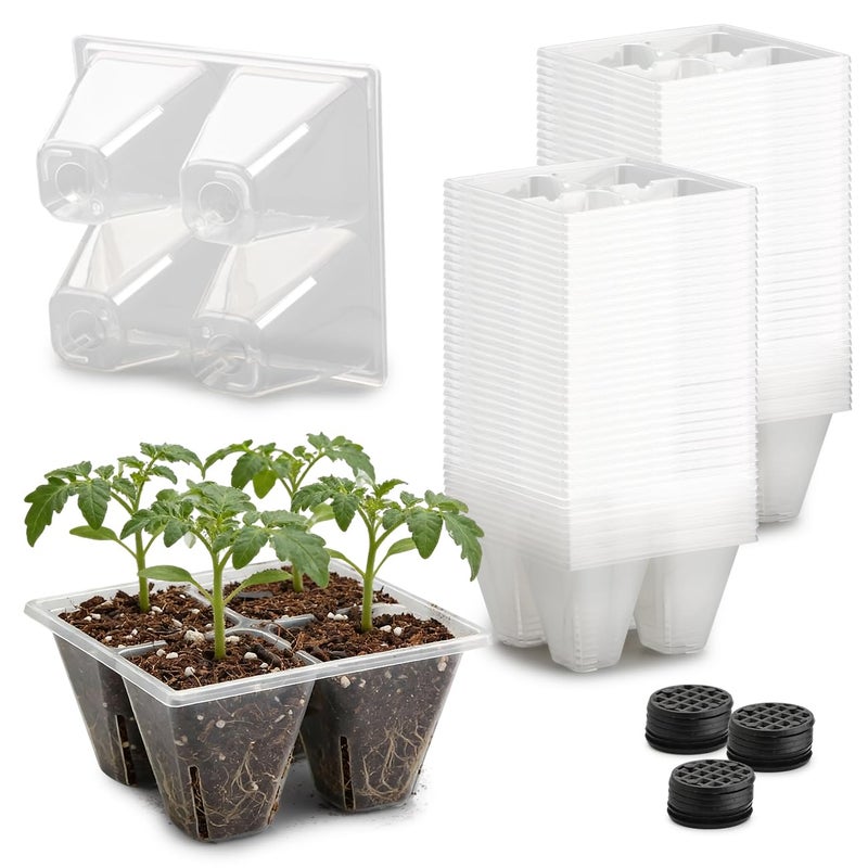 RooTrimmer 80 Pack Reusable 4-Cell Clear Seed Starter Trays - Extra Large Drainage Holes, Easy Transplant, Clear Transparent Tray for Root Observation, Seed Starting, Fits Standard 1020 Flats - Image 1