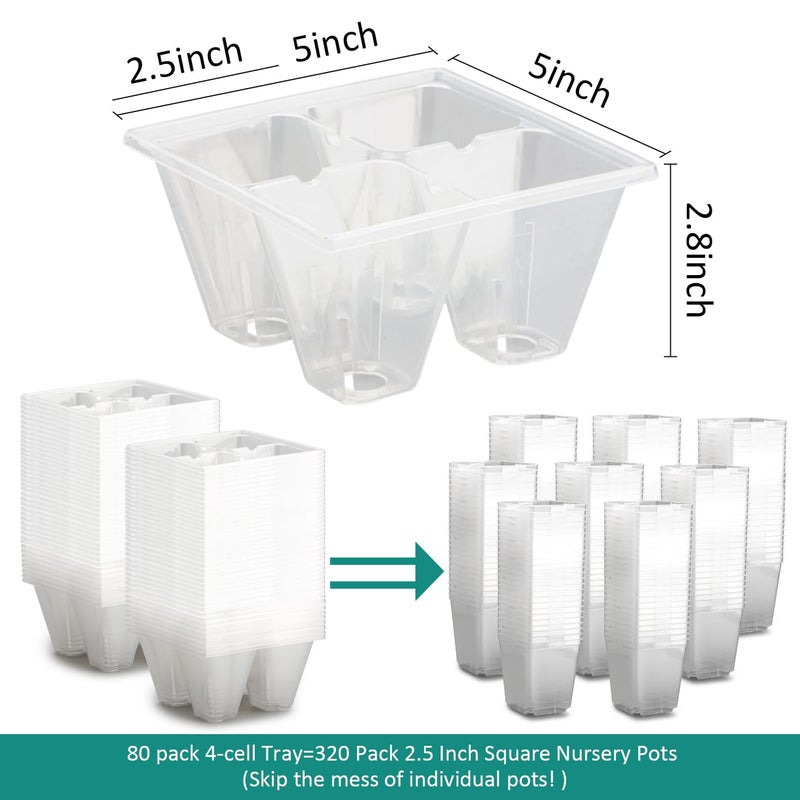 RooTrimmer 80 Pack Reusable 4-Cell Clear Seed Starter Trays - Extra Large Drainage Holes, Easy Transplant, Clear Transparent Tray for Root Observation, Seed Starting, Fits Standard 1020 Flats - Image 2