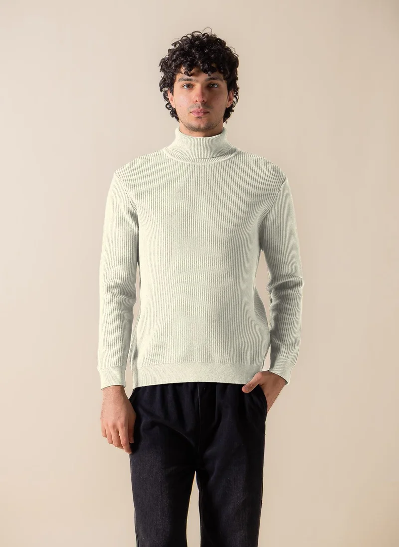 SHAPES RIBBED HIGH-NECK SWEATER