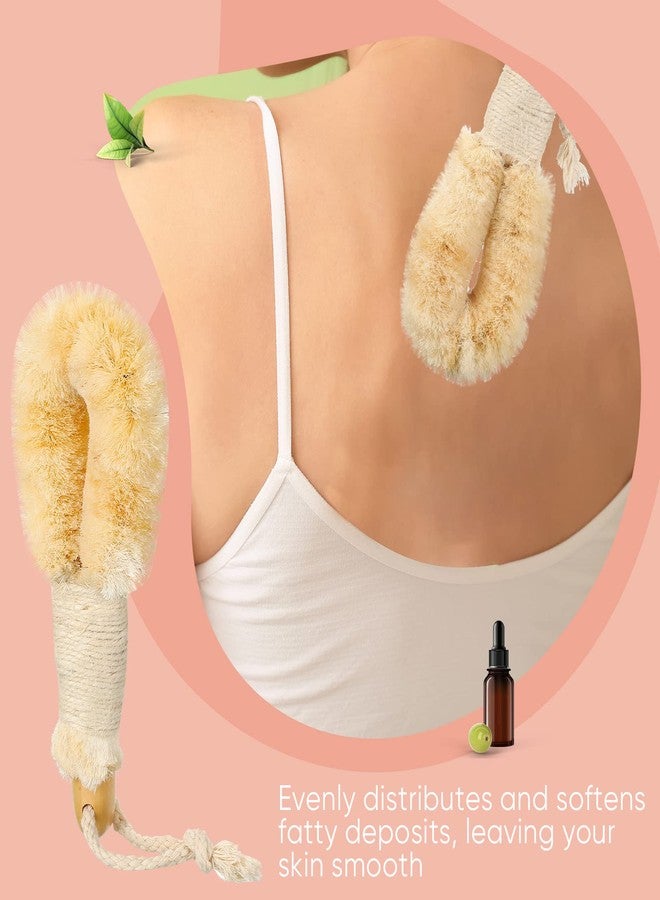 Suttmin 2 Pcs Dry Brushing Exfoliating Brush Body Scrubber Natural Bristle Bath Shower Dry Skin and Sisal Brush with Naturals Fibers for Skin Care, Exfoliates - Image 3