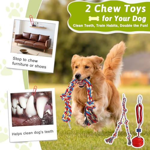 Olpchee Outdoor Tug of War Dog Toy, Tether Interactive Dog Tug Toy Backyard Heavy-Duty Dog Solo Play Exercise Toy for Small Medium Dogs (Upgraded) - Image 5