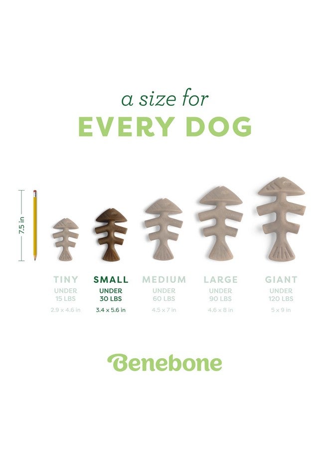 Benebone Fishbone Durable Dog Chew Toy for Aggressive Chewers, Real Fish, Made in USA, Small - Image 3