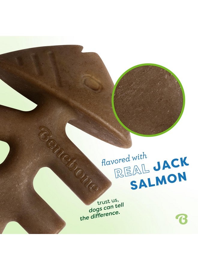 Benebone Fishbone Durable Dog Chew Toy for Aggressive Chewers, Real Fish, Made in USA, Small - Image 1