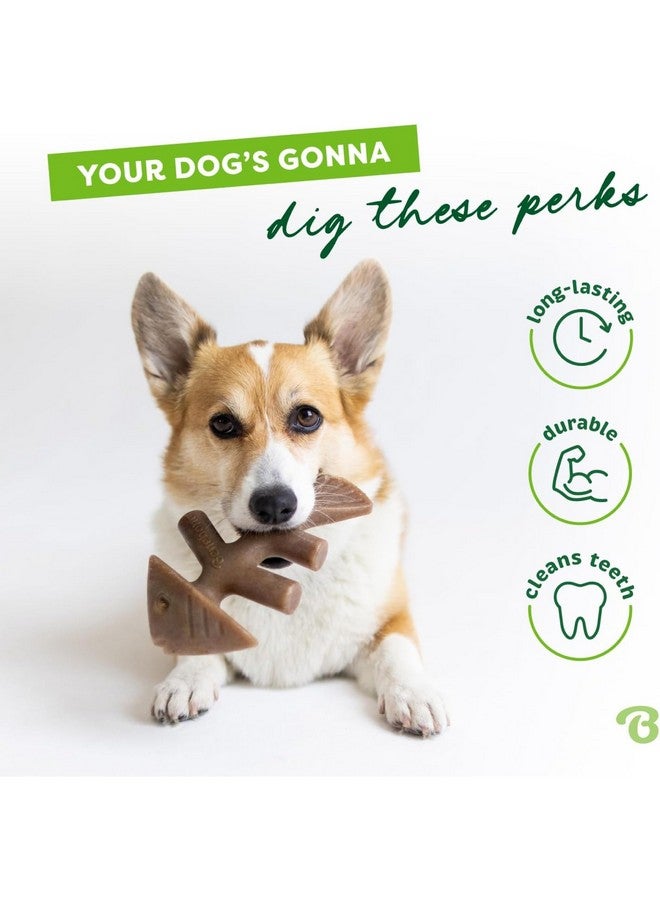 Benebone Fishbone Durable Dog Chew Toy for Aggressive Chewers, Real Fish, Made in USA, Small - Image 2