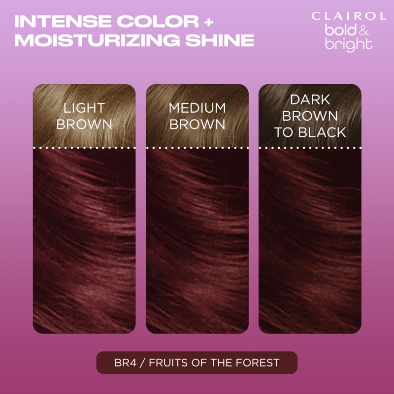Clairol Bold & Bright Permanent Hair Dye, BR4 Fruits of the Forest Hair Color, Pack of 1 - Image 3