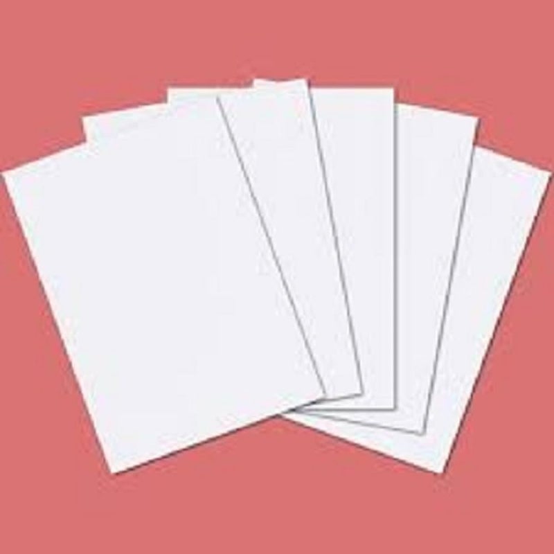 FIRST CLICK FIRST CLICK Lotus Ivory Paper Drawing Papers Sheet 210 GSM Pack of 2 (50 Sheet, A4 Size, Watercolor Sheets) Ideal for Professional & Budding Artists  - Image 2