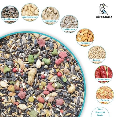 BirdShala Parrot Food for All Life Stages African Grey Parrot,Sun Conure,Macaw,Lovebird and Alexander Premium Seed Blend of Grains, Nuts & Fruit Pellets - Image 2