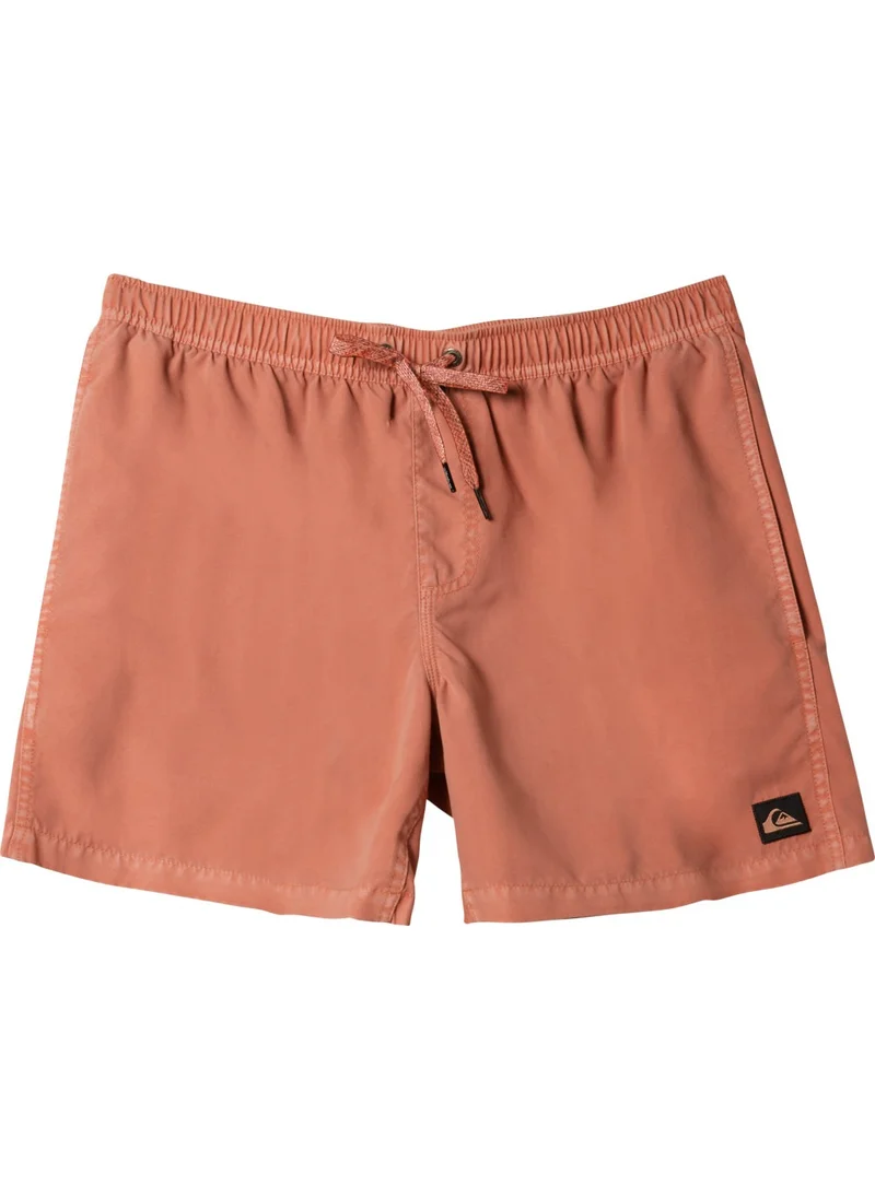 QUIKSILVER Everyday Surfwash Volley 15
