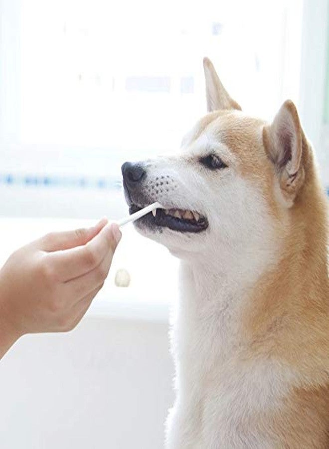 Petlicious & More 3 Pcs Soft Cleaning Dental Rubber Finger Toothbrush for Dogs (Color May Vary) - Image 5