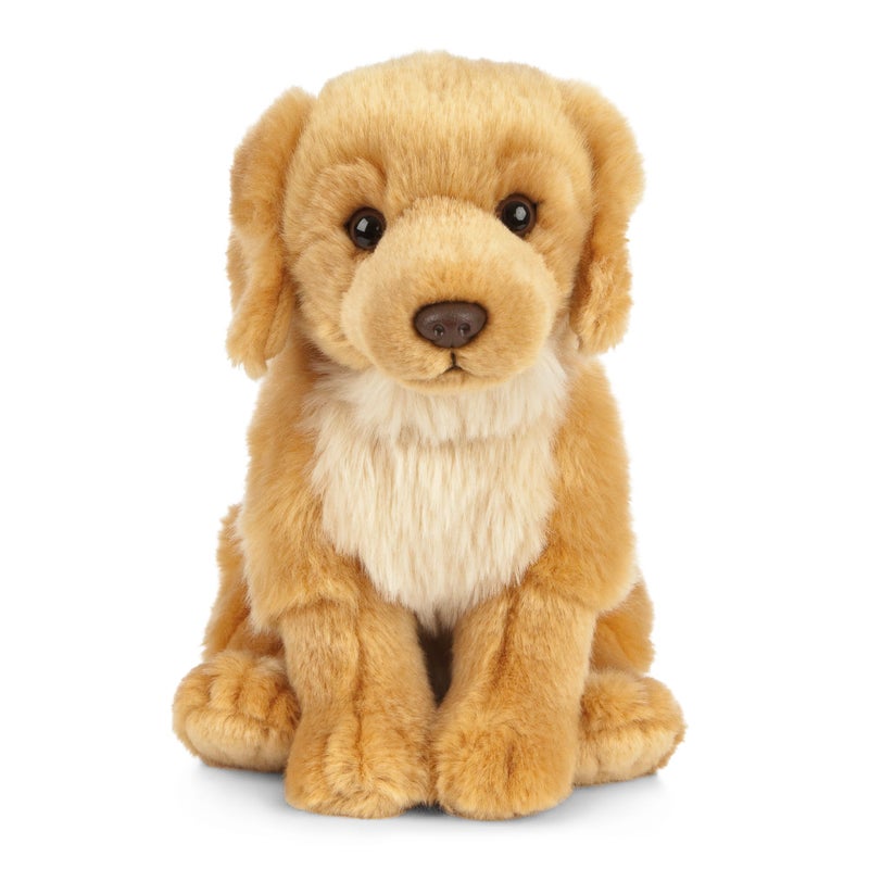 Keycraft Living Nature Golden Retriever Stuffed Animal | Fluffy Dog Animal | Soft Toy for Kids | 8 inches - Image 1