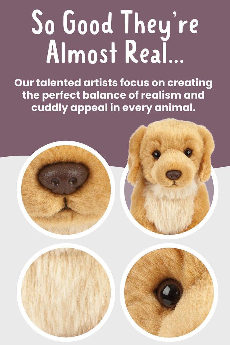 Keycraft Living Nature Golden Retriever Stuffed Animal | Fluffy Dog Animal | Soft Toy for Kids | 8 inches - Image 3