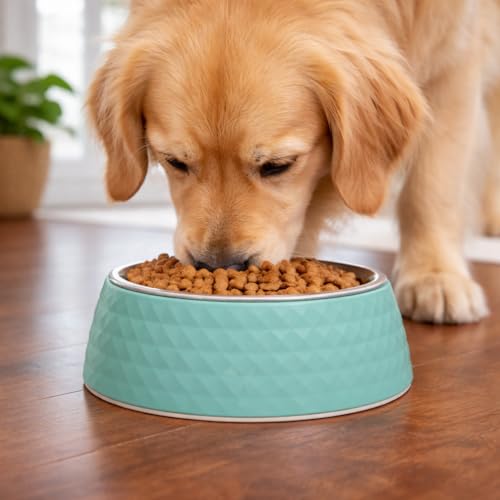 Zigly Lifestyle Pet Food Bowl | Dog Bowl for Medium Dogs & Cats | BPA-Free Melamine Bowl for Dogs with Removable Stainless Steel | Anti-Skid Dog Food Bowl - 400ml, Green - Image 4