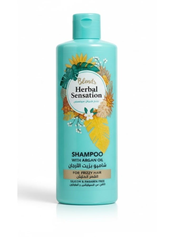 Blends special offer Shampoo with marrow for damaged Hair & Shampoo with Argan Oil for Frizzy Hair 600 ml - Image 3